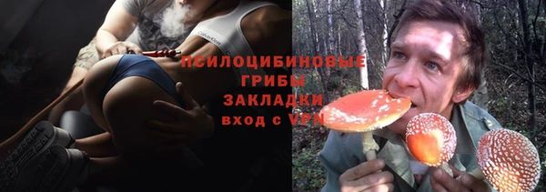 трава Каменка