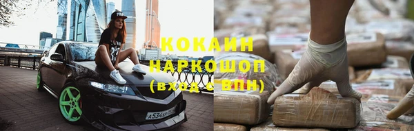 СК Каменногорск