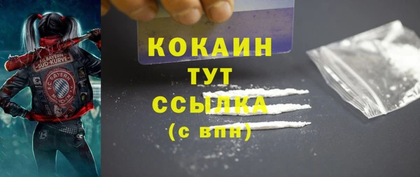 СК Каменногорск