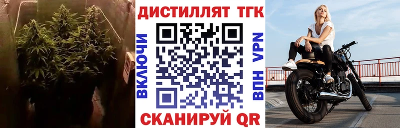 Купить  Ахтубинск  ТГК жижа 