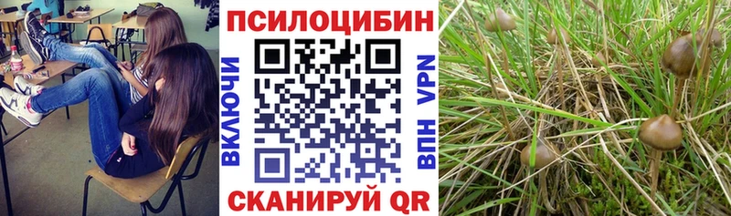 Псилоцибиновые грибы GOLDEN TEACHER  Купить где  Ахтубинск 